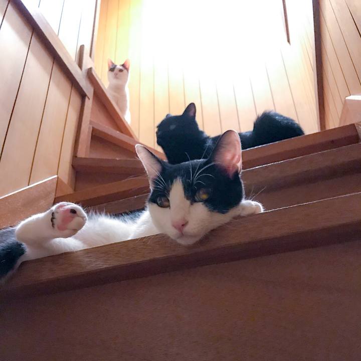 C2bca9a2 010a 45b2 9498 e0f963f22f92