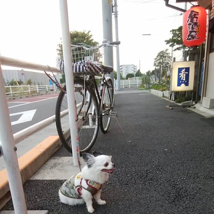 C2bd9eb8 fae7 4a06 bb40 15cf2c9d320e