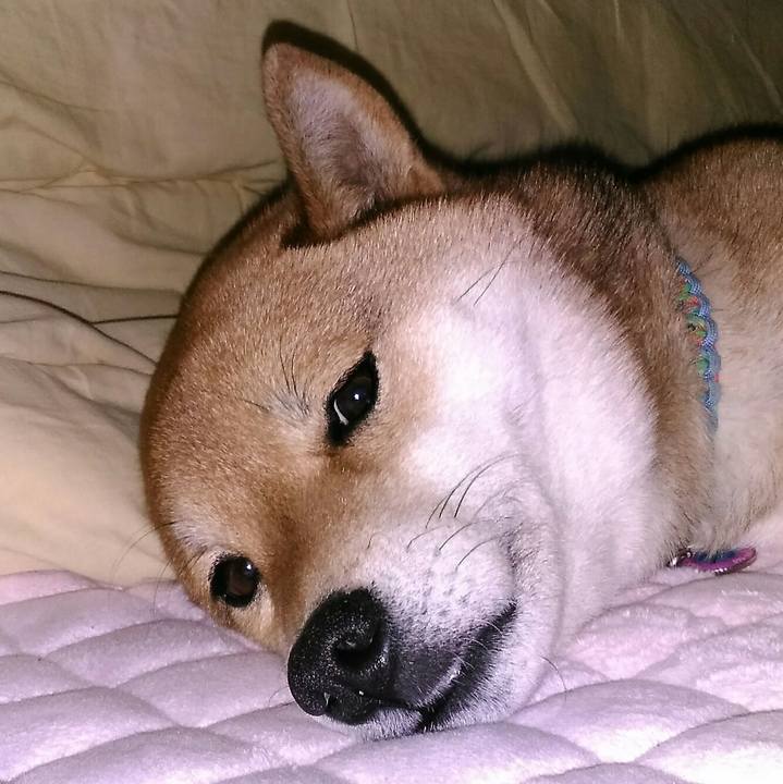 C2bdac10 0d96 438b b536 ea51631b2969