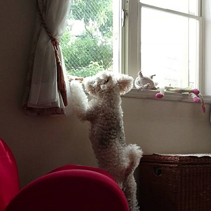 C2bdc94c 5faa 4fb8 95ad a082f1cf01bd