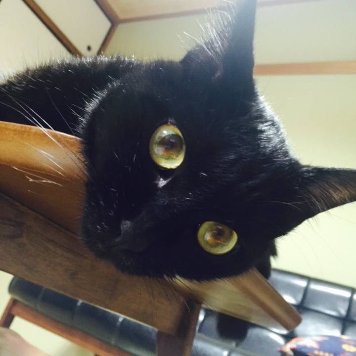 C2bea15d 8dde 4897 b32a cf9c4fdb2550