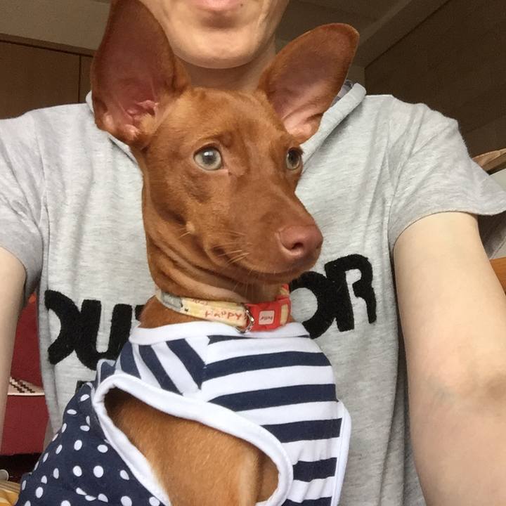 C2beae1d 03ad 43b7 bd65 85ea6e7efac8