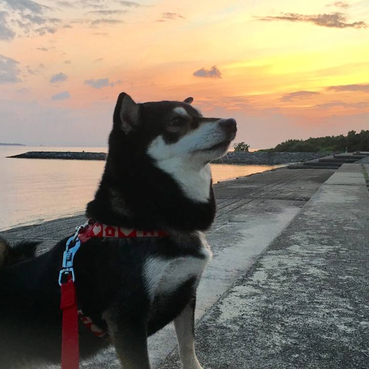 C2bf654f 3d68 49a1 b7f0 7799cf6276fa