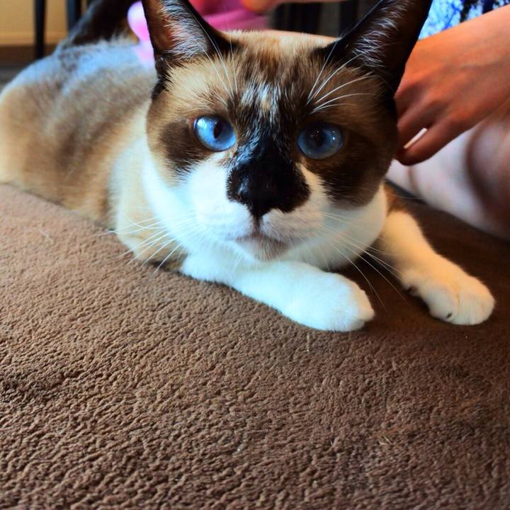 C2c08991 f143 4747 89c6 8859d5bce36a