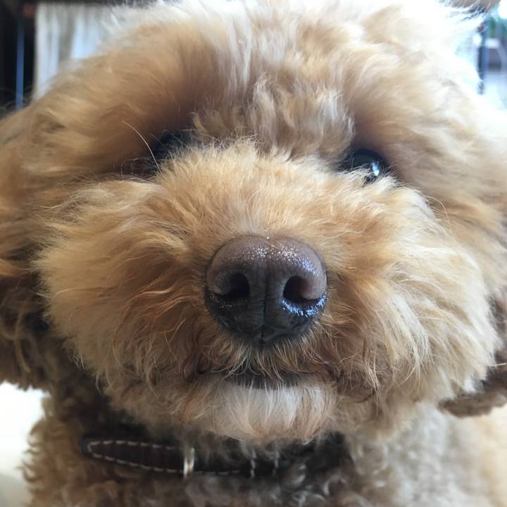 C2c16d17 2254 4ec3 a3b1 05e7b0022074