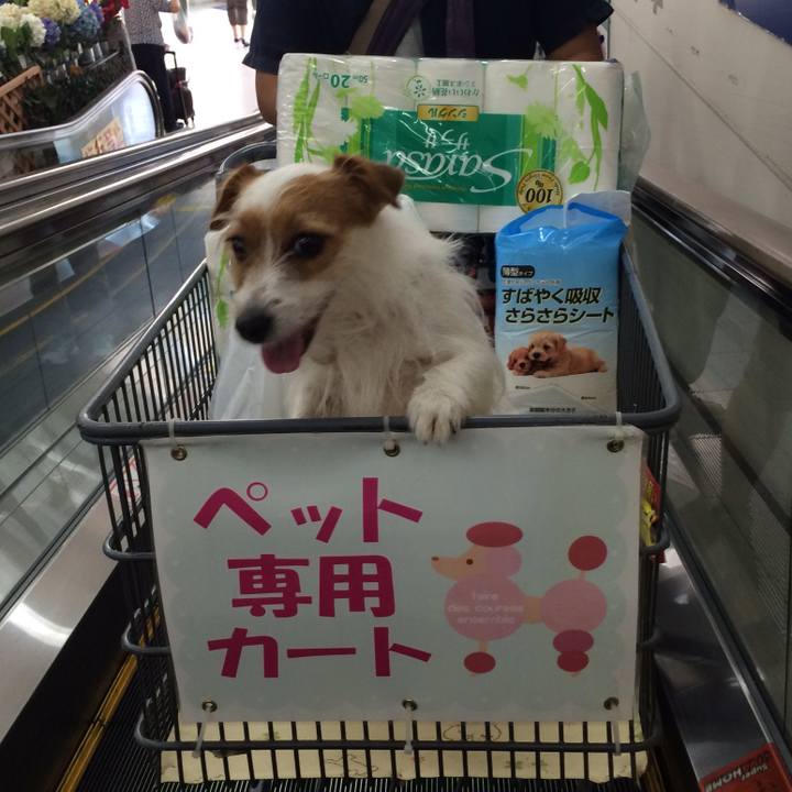 C2c189b8 d3cf 474a a696 db09f3ec2efe