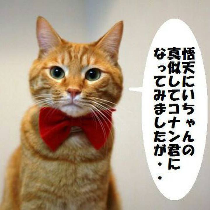 C2c1a257 3de0 4dc8 843a 2667ed3e3d9f