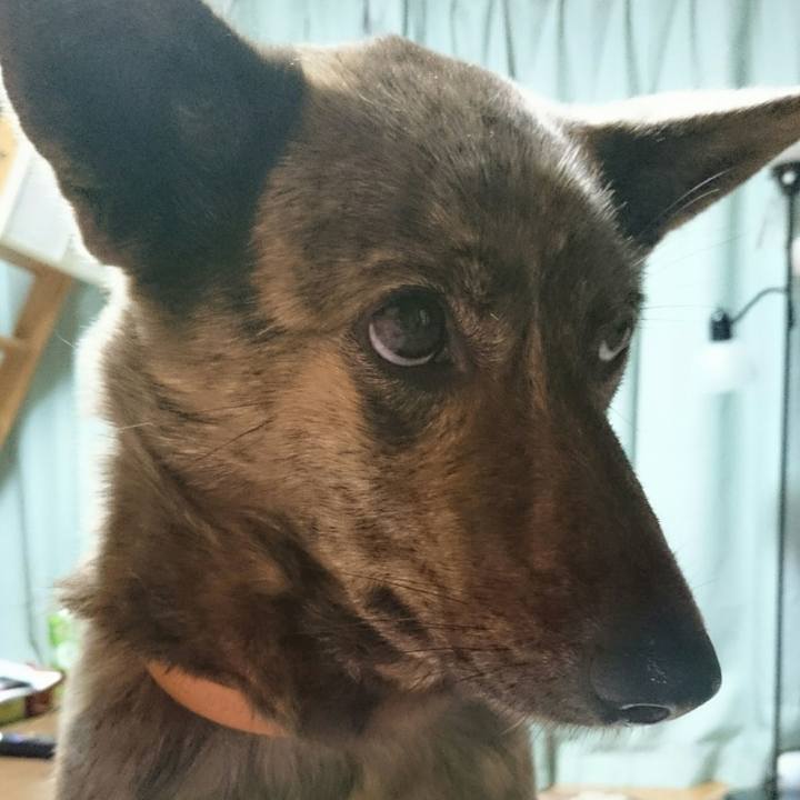 C2c22070 6a18 473d 8e47 dd2824f0f01b