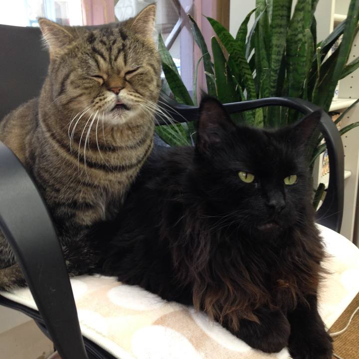 C2c30749 6d47 4a98 9f19 bb1883dfed20