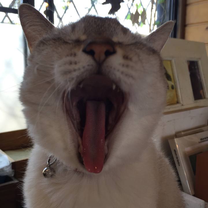 C2c445fe 84c7 4edf b198 2e43422565e4