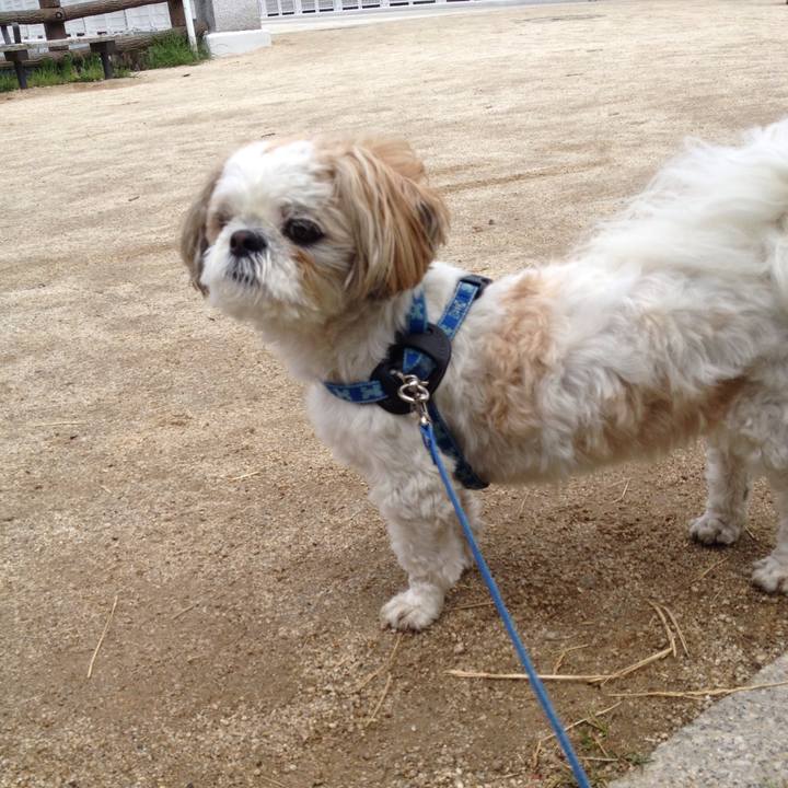 C2c456b5 f706 473c abfe 604004418d11