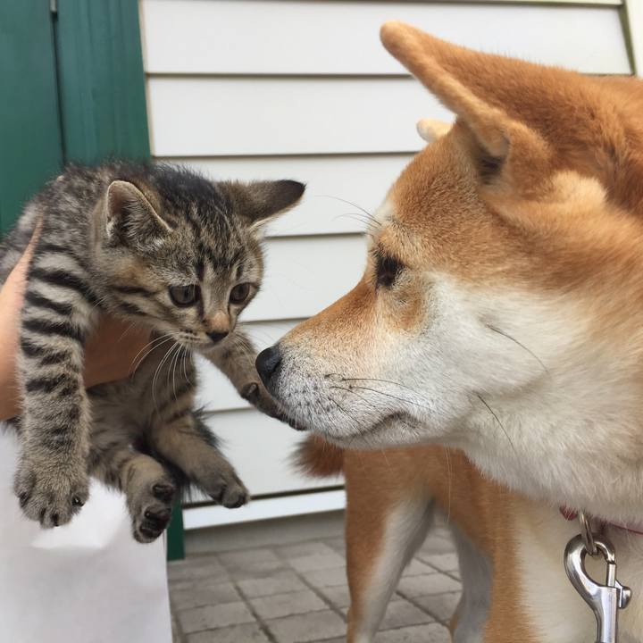 C2c457cc 0307 4dd1 99a0 7349a4c73ed7