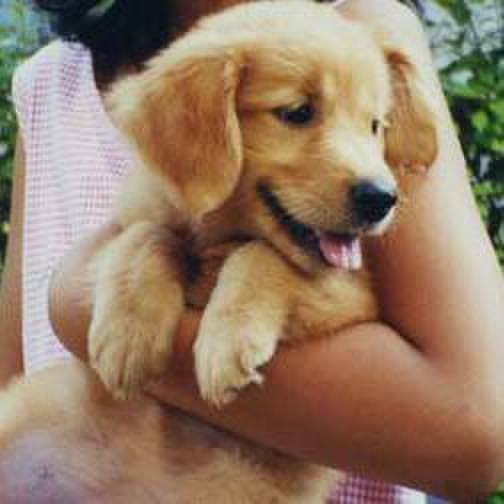 C2c4ee61 c1aa 4700 9cf8 781e26fb0d14