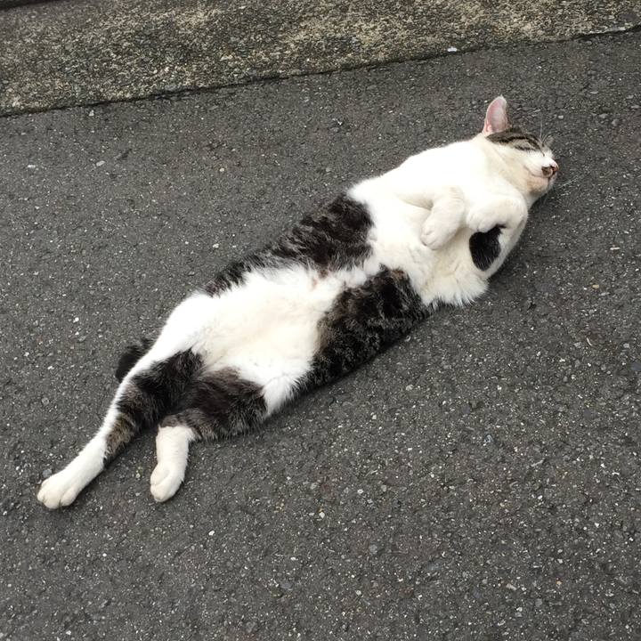 C2c4f221 e6aa 4d6a ab11 834a2df98914