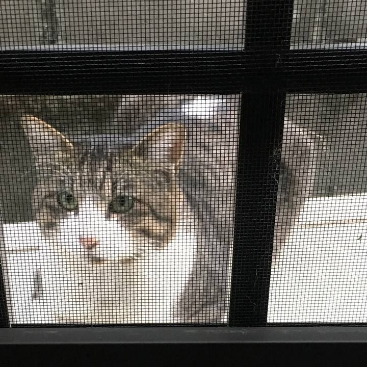 C2c50ec8 3029 4361 9259 d828b8d4cc73