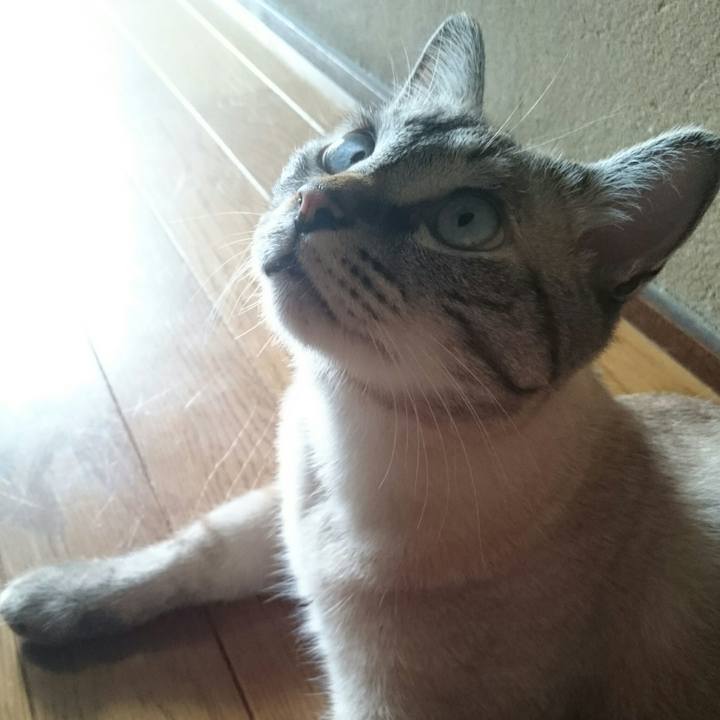 C2c54228 f150 4f41 ae56 a54fae8bcff5