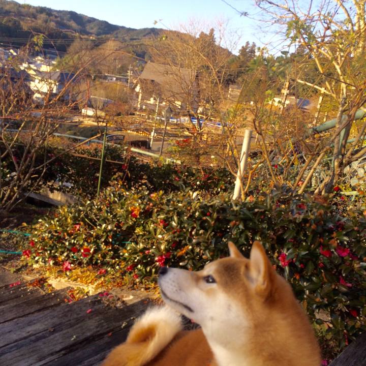 C2c595bb 3ad0 4971 9698 7bfca360ae3e