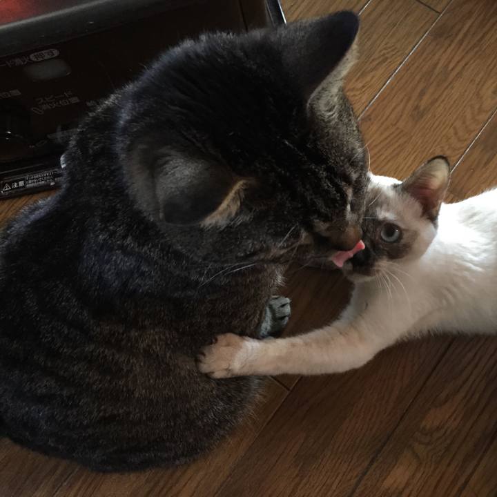 C2c5afc1 61bf 4a0f a8ec 69791d127712