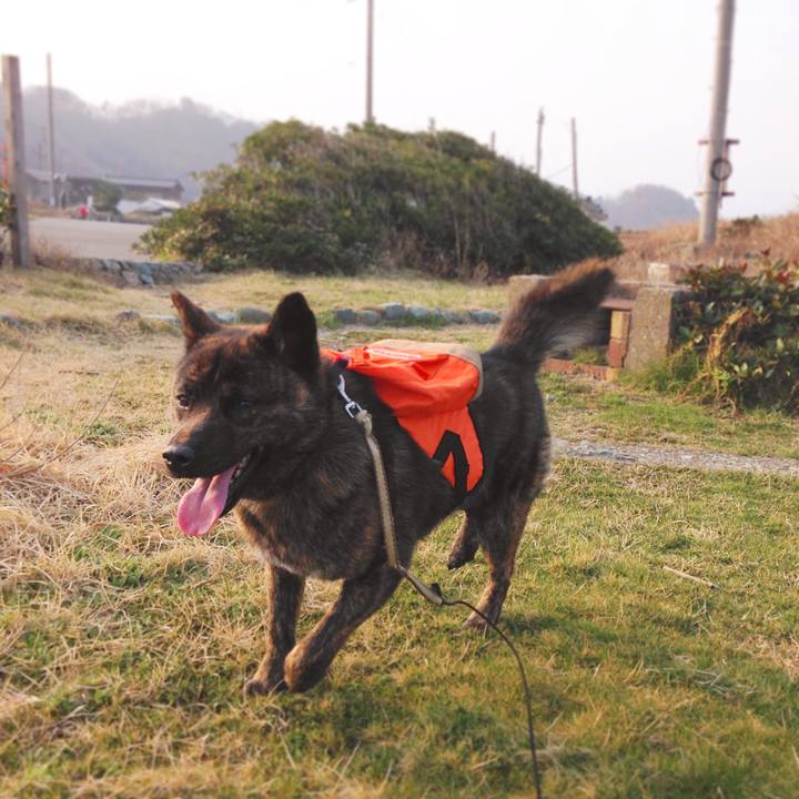 C2c5ff57 5d08 40b1 8509 4d667dcad36c