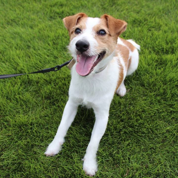 C2c70351 11ca 46b8 8d0f ad71a9c4da13