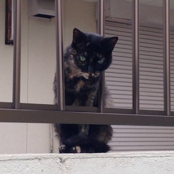 C2c7245e aed2 4474 825f 1295139e27d3