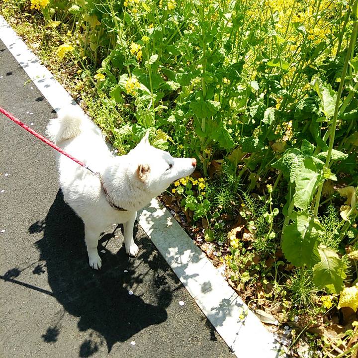 C2c78129 00d1 4778 b2fd cf57a13a99c3