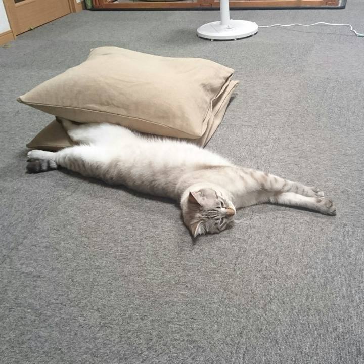 C2c7a5bd 2f89 41c1 a39d c4b1d95ecdc9