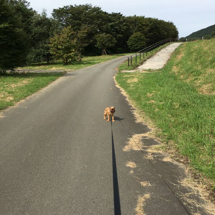 C2c876cf ea60 47fc 88f0 c5604474d3b3