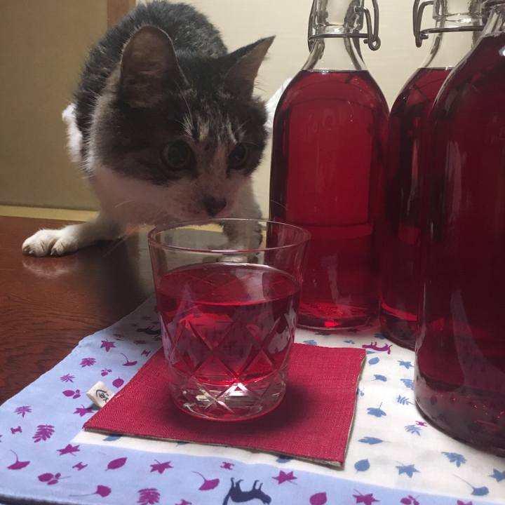 C2c8923d aabe 4cd8 b759 c4deb81ce478