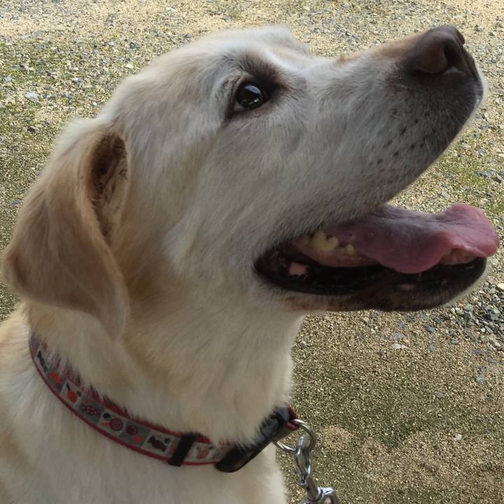 C2c8f0c1 5bc9 40db 9623 ff1650669eb0