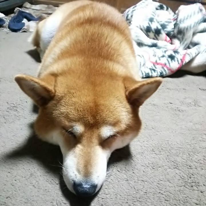 C2c98d8c 067d 46ce 9ac6 10c21970393e