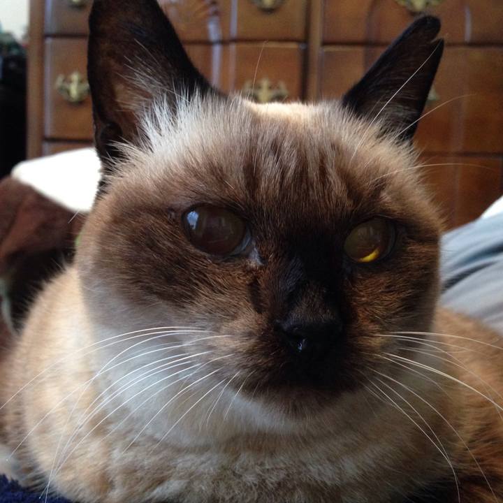 C2ca3fb0 65f4 4e36 b700 a42fdec6fc98