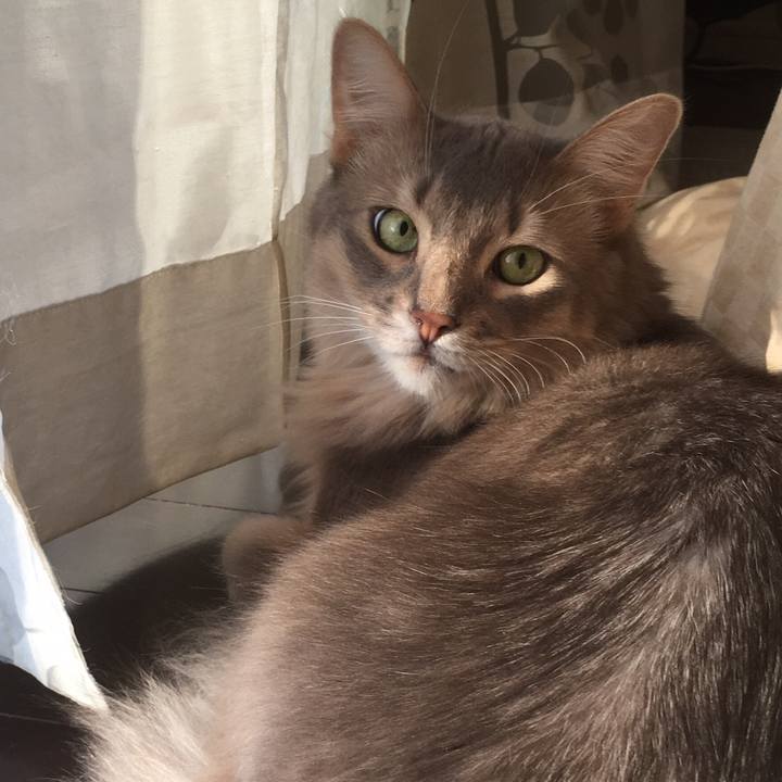 C2ca451a ef24 4679 b99e d1746508411e