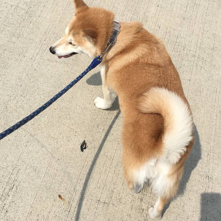 C2cb6876 631d 4761 85a3 424227ea7ace