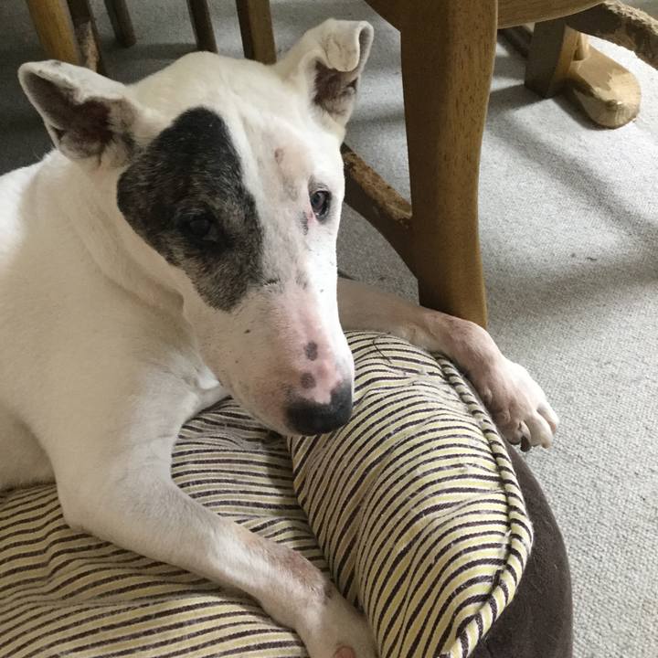 C2cc6788 4c15 4803 b0ba 1ddf86d46f7f