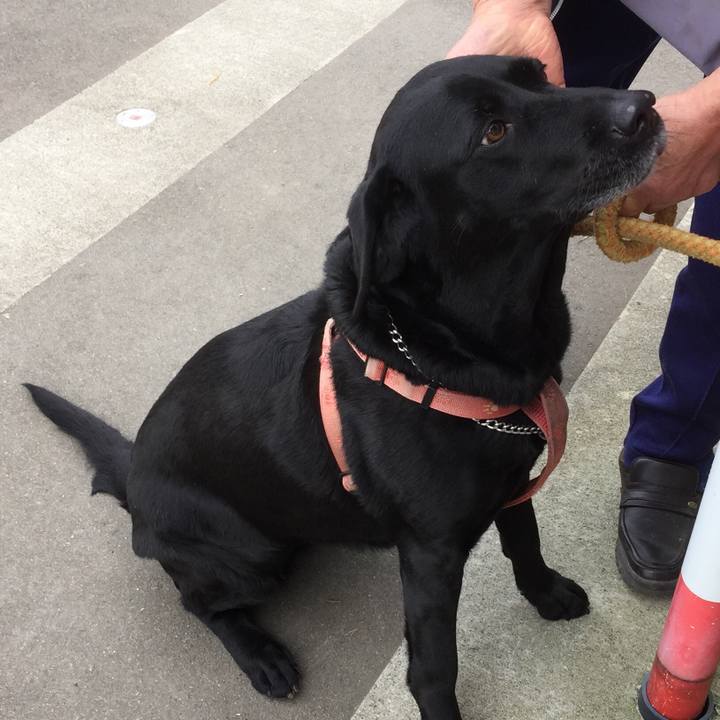 C2ccac93 2517 4446 b258 26978a26080b