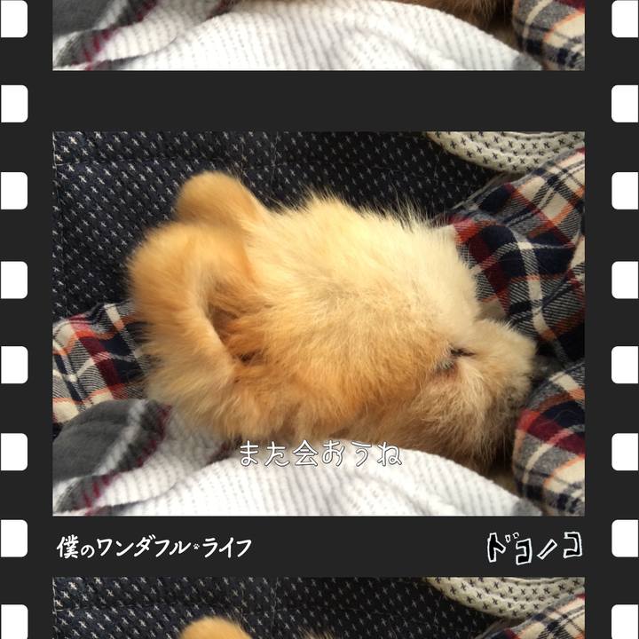 C2ccc07c e968 488b 94a0 9605ffcc1168