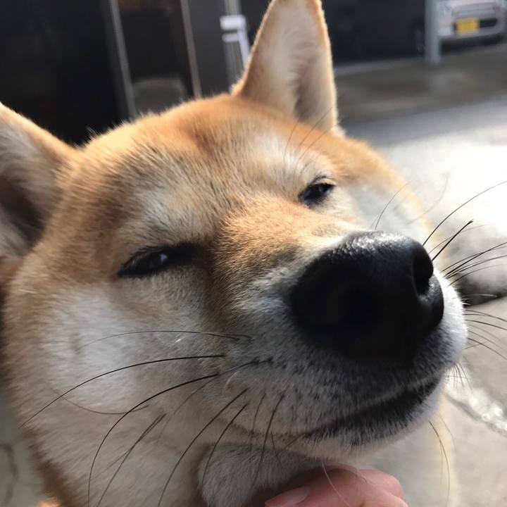 C2ccdfa2 6ecd 4873 96ab a93a32a1a766