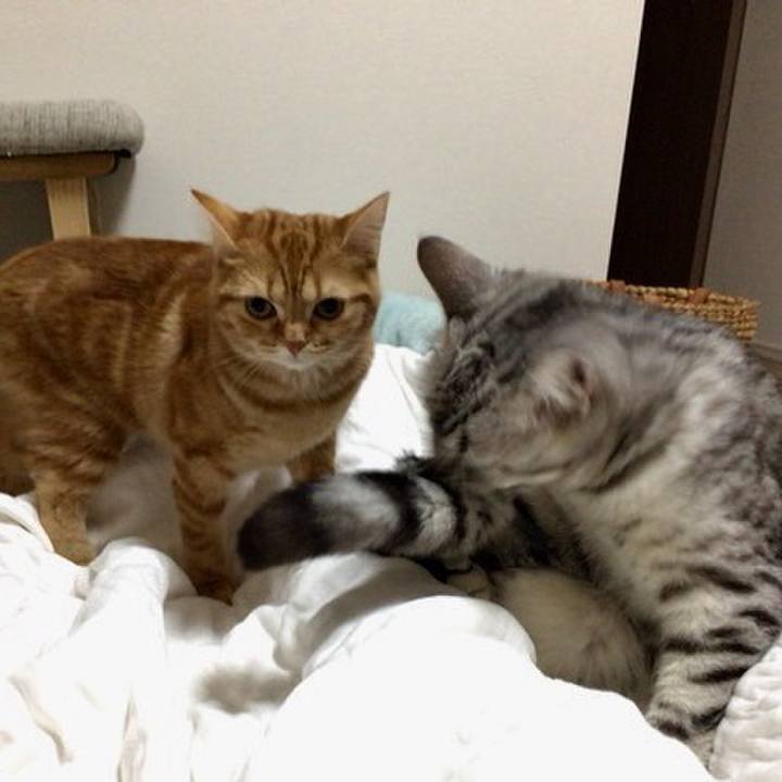 C2cd4d50 ab53 4a55 ae30 2824fc4f72a9