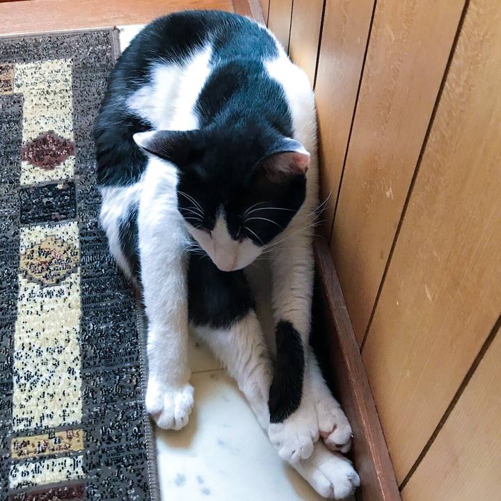 C2cd9bdf 6bff 4b09 a3e7 f4e9a56fb74e