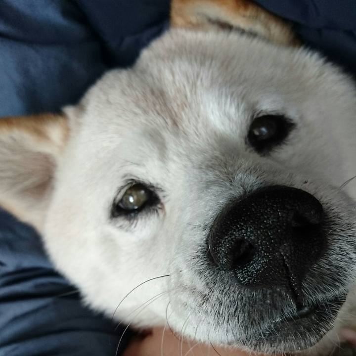 C2ce4277 02e3 4239 9c20 32fafac40f6e