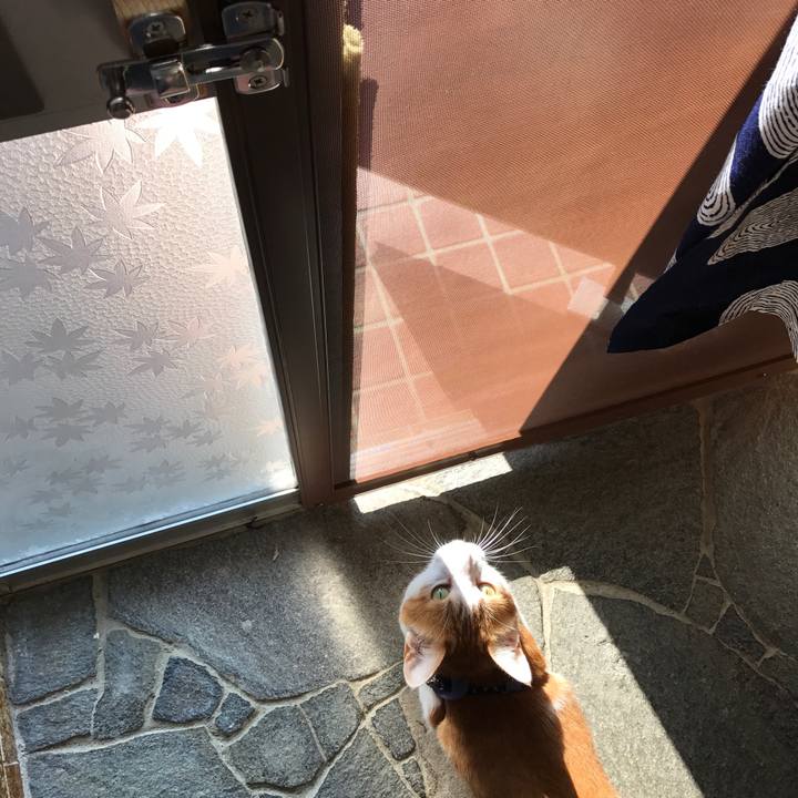 C2ce6036 66d1 4686 8a5b 3f3d78d3dbde