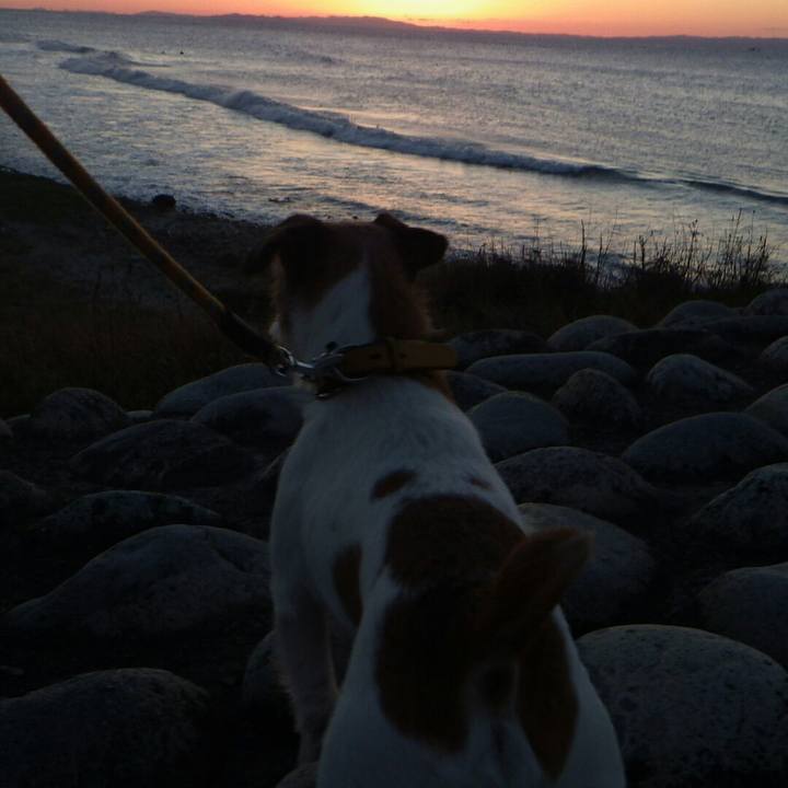 C2cf3b99 e13a 4f41 a58e a5aebc2b3d87