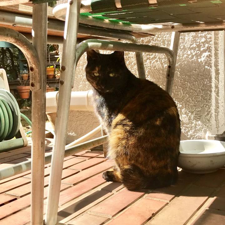 C2cf89b1 713e 4906 991c ae8da7c93e6b