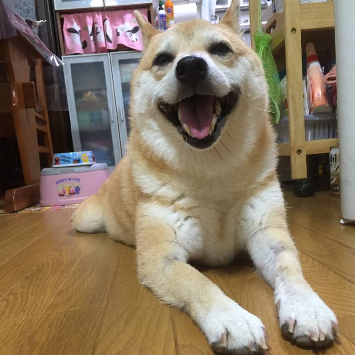 C2cfbe10 269b 4644 85c8 5ada779239fd