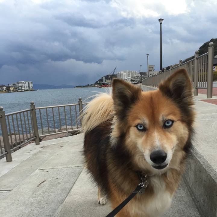 C2cffeaa 7f74 480e b9db 7779c9ef6f37