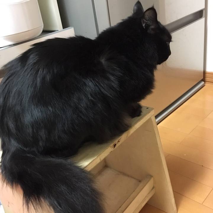 C2d05c0e 3446 40e2 a6ad 8b44191dad8f