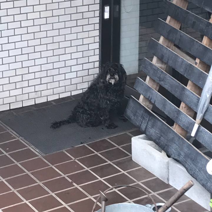 C2d1526e 5d2d 4e68 b72e a0add0a2e439