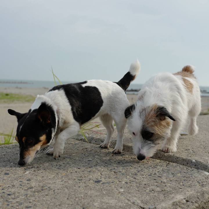 C2d17589 95fc 4288 a234 df5f6c4f230e