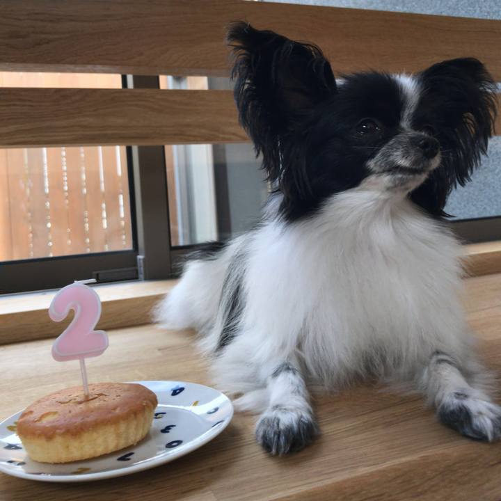 C2d1c2a7 7c8d 4cc9 a2ca acef61b551a5